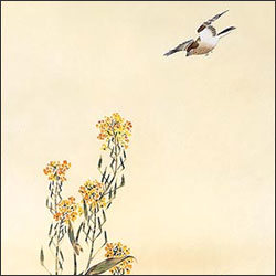 酒井抱一 花鳥十二ヶ月図 複製名画 掛軸 額装 コレクション 酒井抱一 花鳥十二ヶ月図 複製名画 掛軸 額装 コレクション
